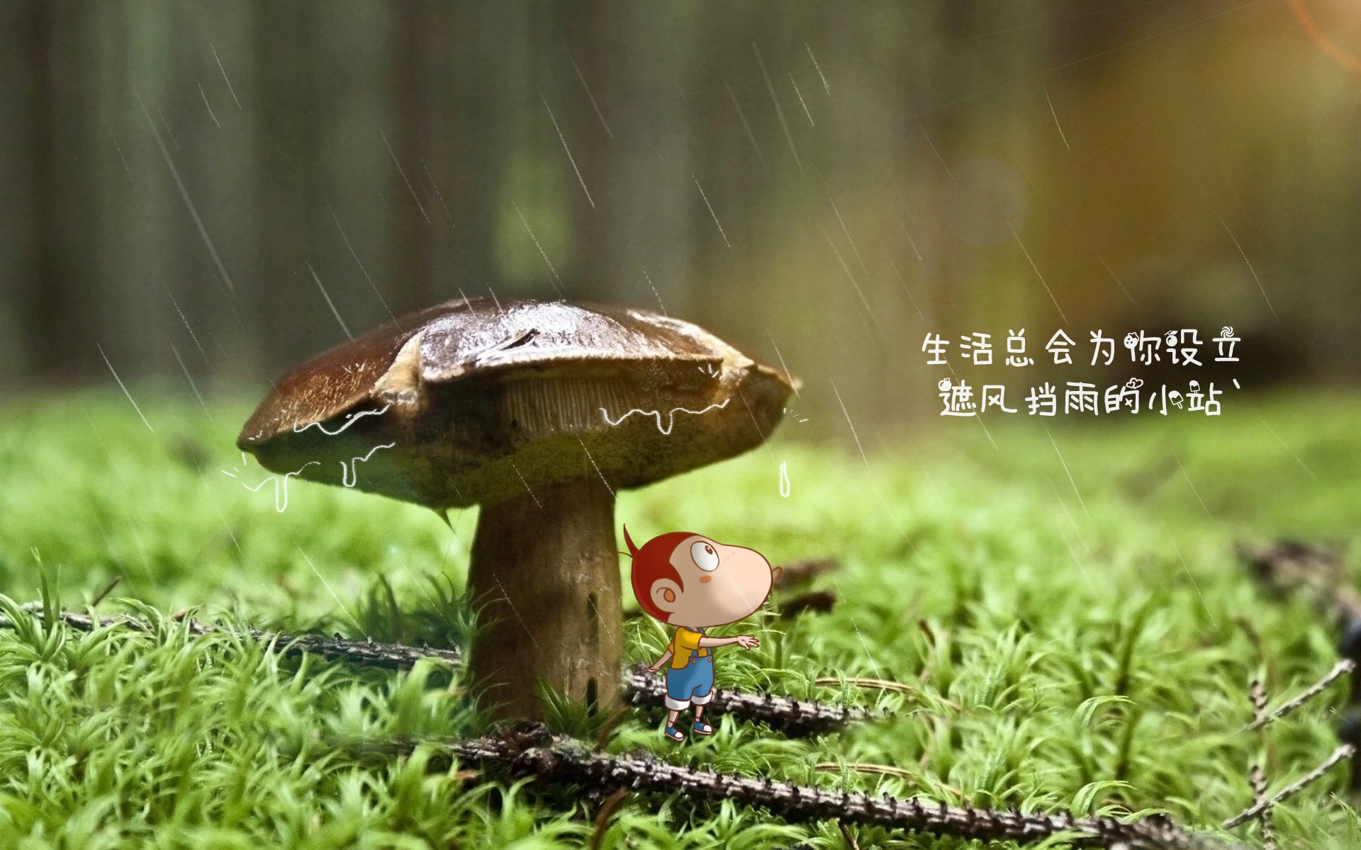 中国篮球运动员突破技术训练策略研究，篮球突破训练视频教学