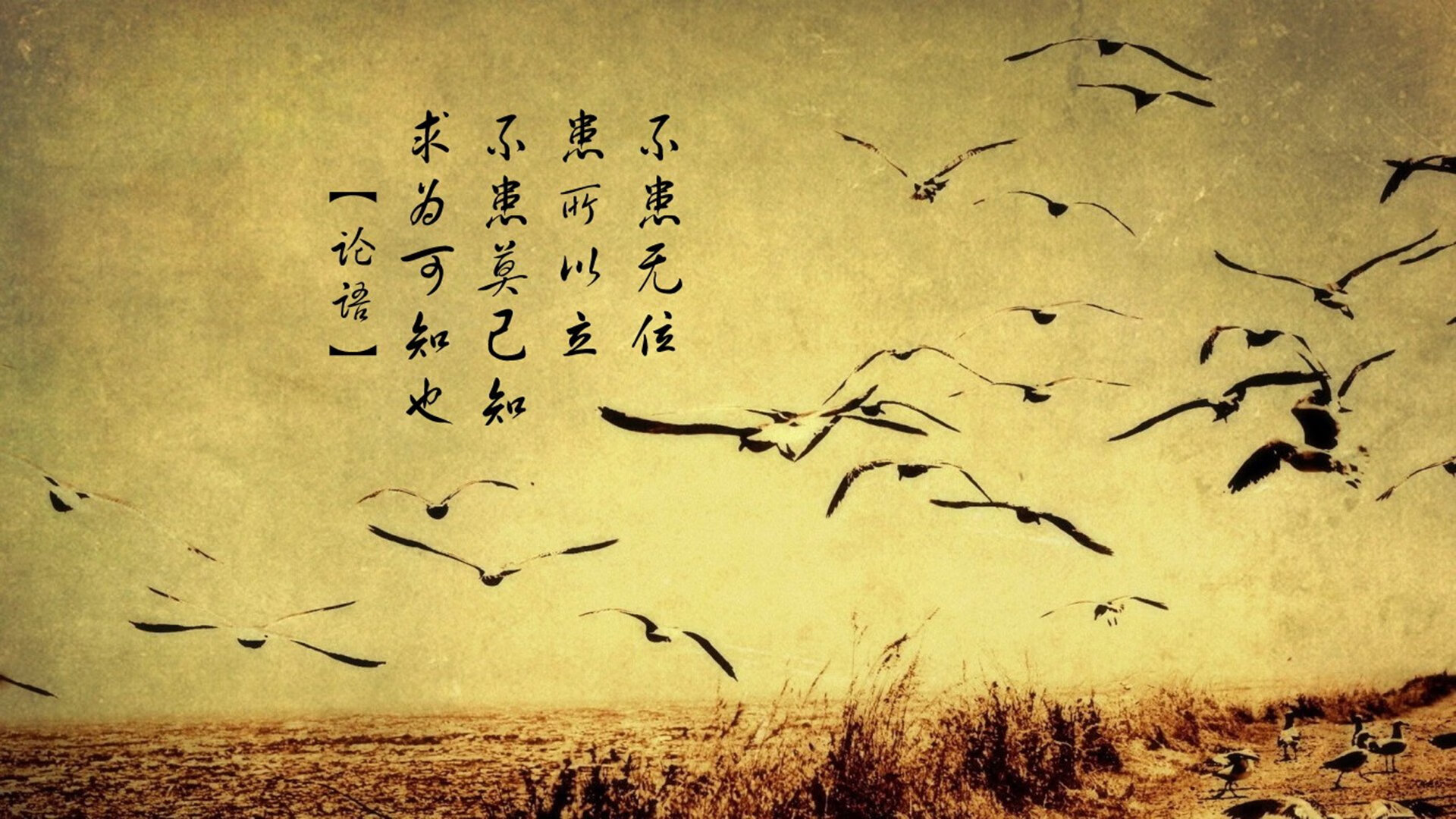 中国篮球运动员突破技术训练策略研究，篮球突破训练视频教学