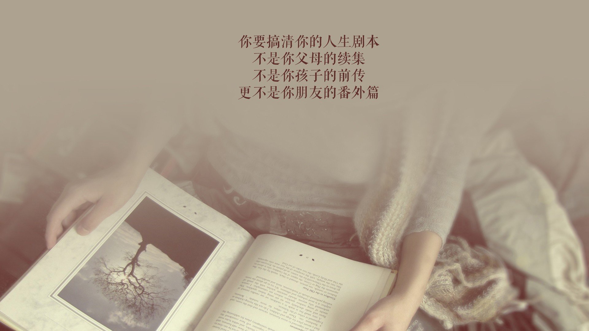 华体会登陆-球迷狂热：现场氛围最震撼的比赛回顾，球迷视频