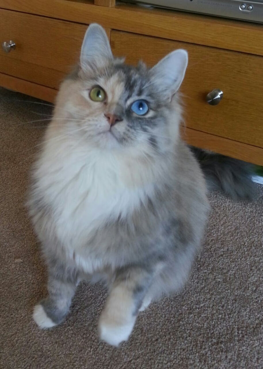 运动员焦点:球员的日常训练与生活揭秘,职业球员日常训练