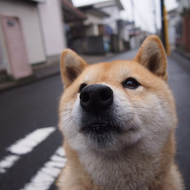 CBA联盟支持俱乐部发展本地青训系统，cba 联盟
