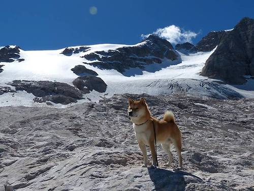 主帅换人反超时机把握对球队士气的即时影响，主帅更迭、失去最佳拍档