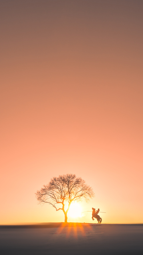 美国乒乓队未来展望：如何培养更多的顶级年轻球员，美国乒乓球运动员