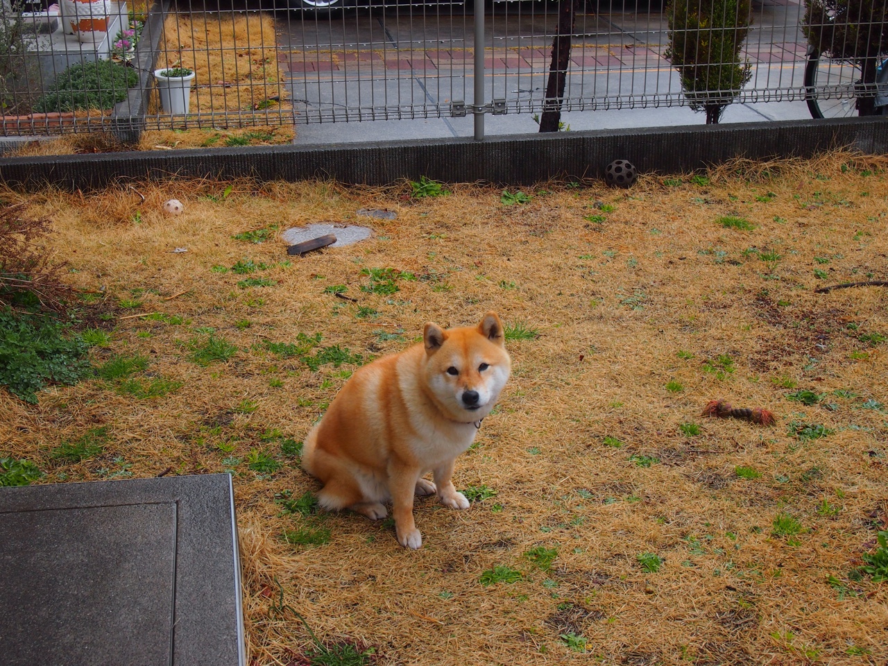 华体会在线-职业联赛品牌缺少国际辨识度