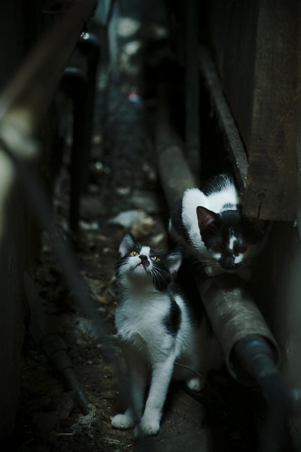 C罗总结本赛季称团队配合最为关键,c罗配合搭档