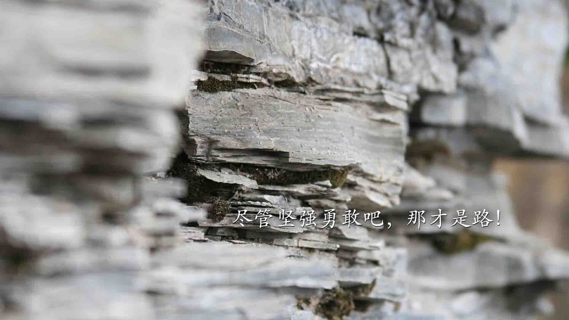 丁俊晖助阵斯诺克公益推广日,丁俊晖做斯诺克反败为胜视频