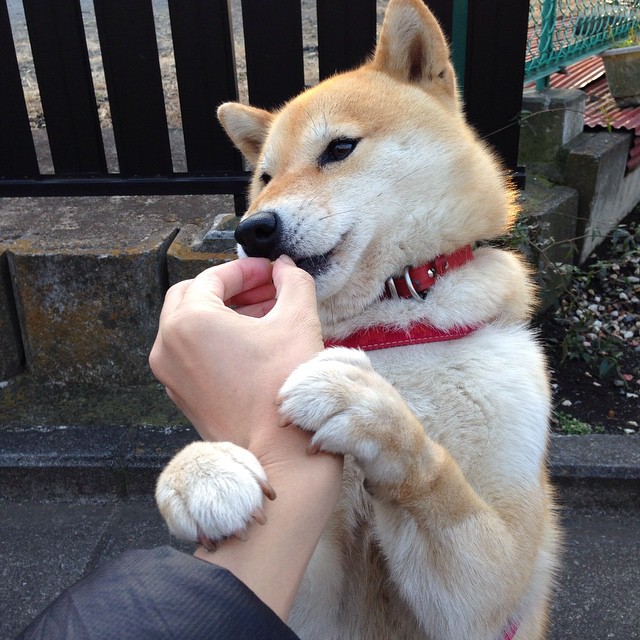 中乙联赛全面引入球员伤病报告系统加强健康监控,中乙队伍2021