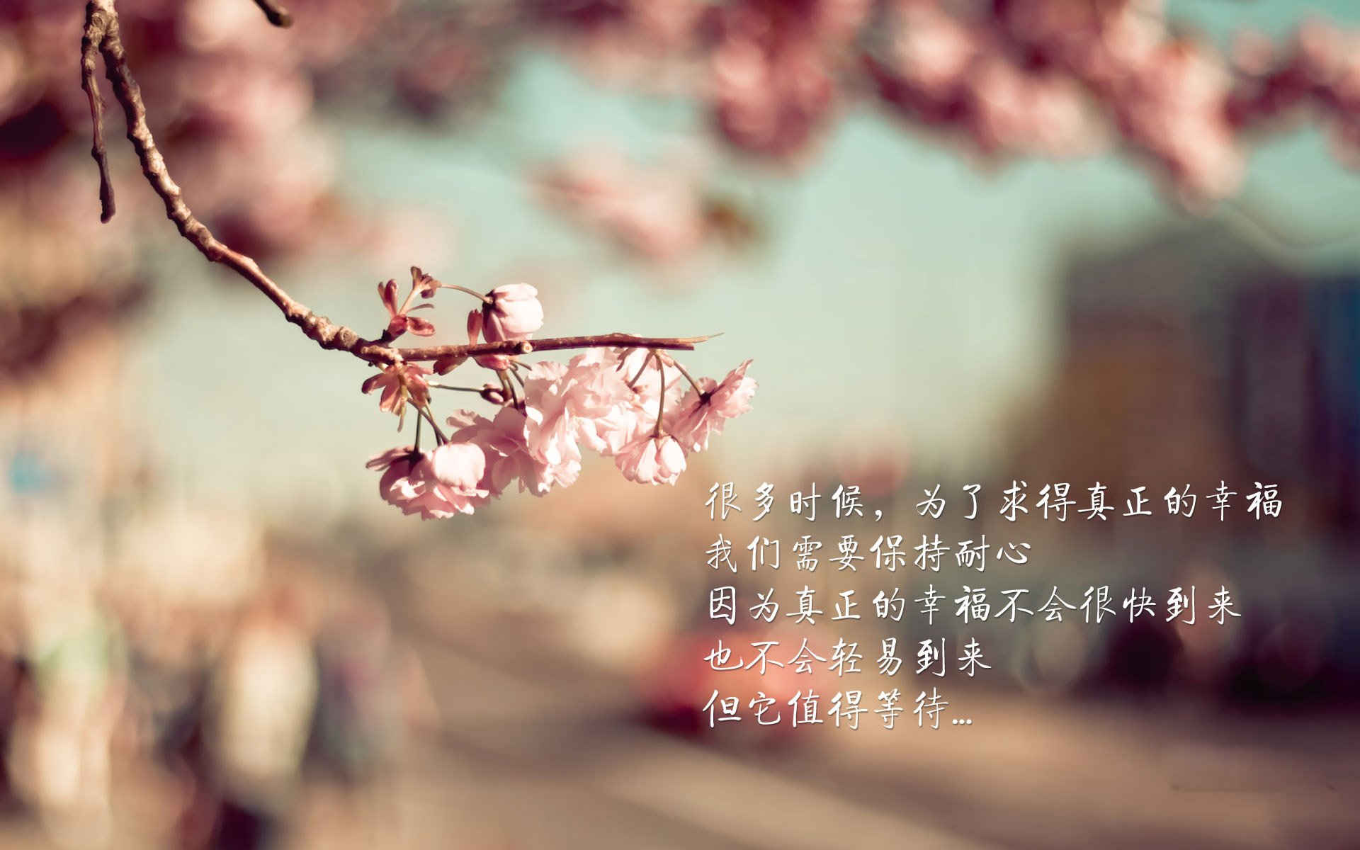 中小学篮球注重训练趣味性提高学生参与度,中小学生篮球教学