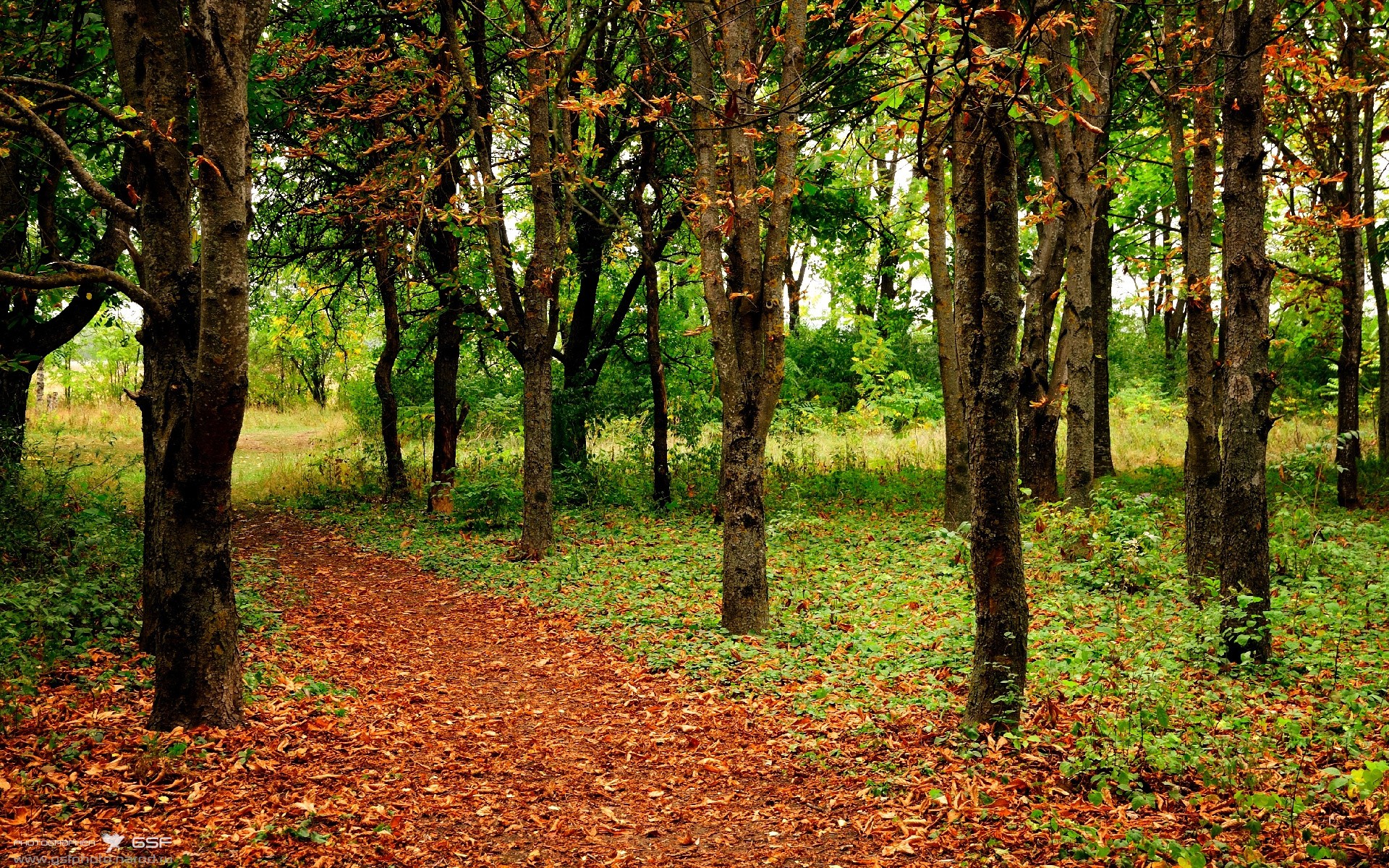 国家队控卫多样化训练应对不同战术体系挑战,国家队控球后卫排名
