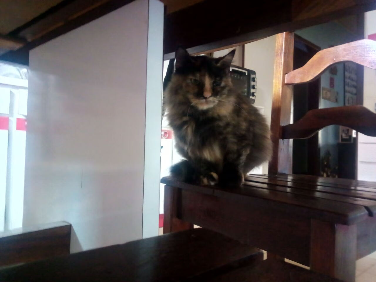 华体会网站-曼联青年队展现未来希望实力，曼联青训营叫什么名字