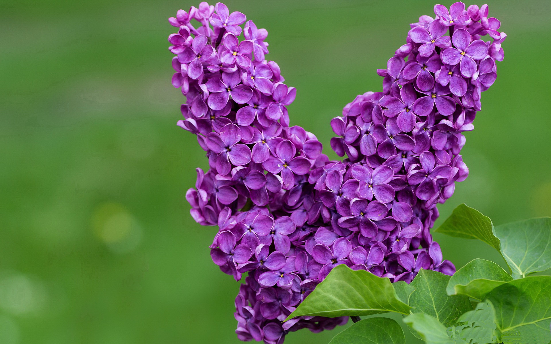 极限攀岩赛事在高原地区举行挑战升级,极限攀爬视频