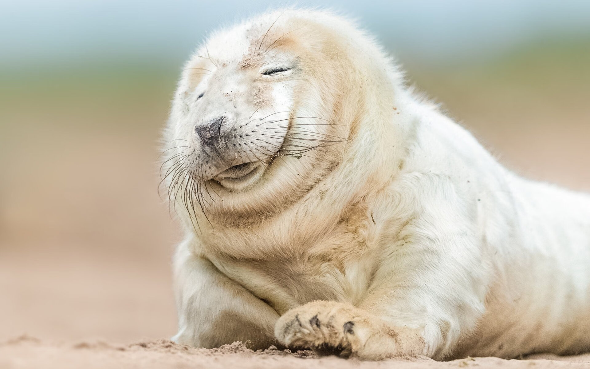 球迷组织举办观赛交流活动打造社区式观赛新体验,观看球赛心得