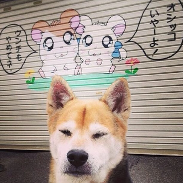 英超球星对决:技巧与身体的极限较量,英超身体对抗最好的球员