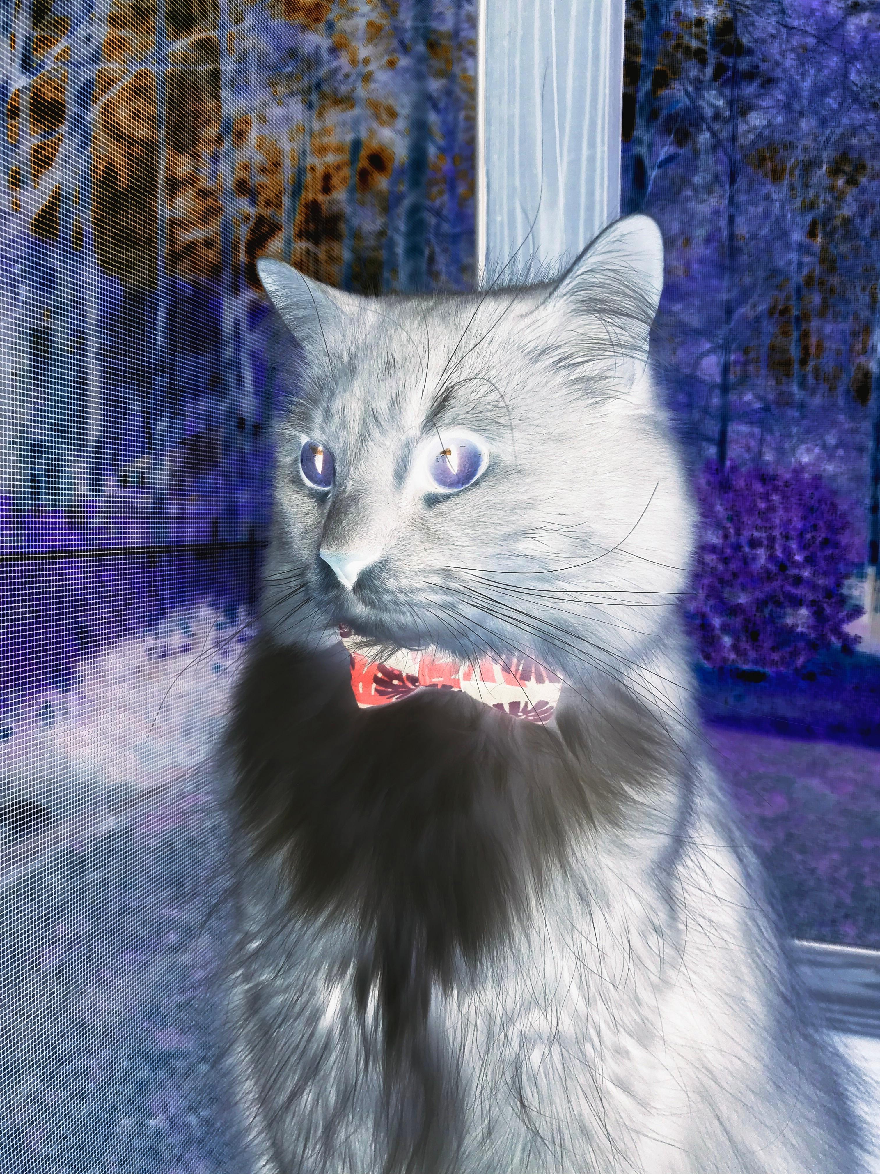 华体会官方网站-蝶泳波兰新星快速崛起，蝶泳波浪