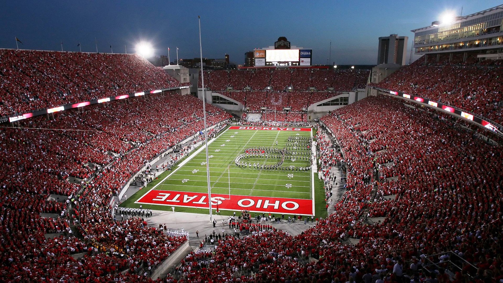 运动员最感人的故事，运动员故事100字